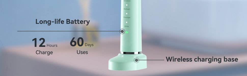 THE P200 Electric Toothbrush