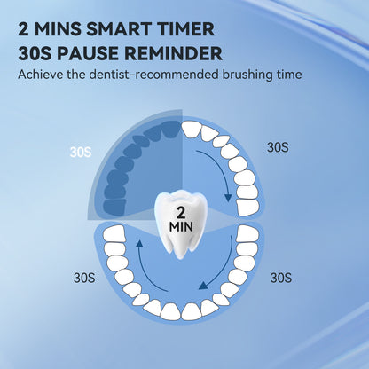 THE P200 Electric Toothbrush