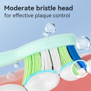 THE P200 Electric Toothbrush