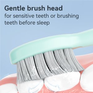 THE P200 Electric Toothbrush