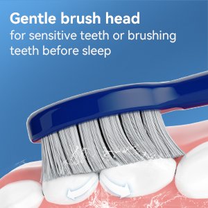 THE P200 Electric Toothbrush